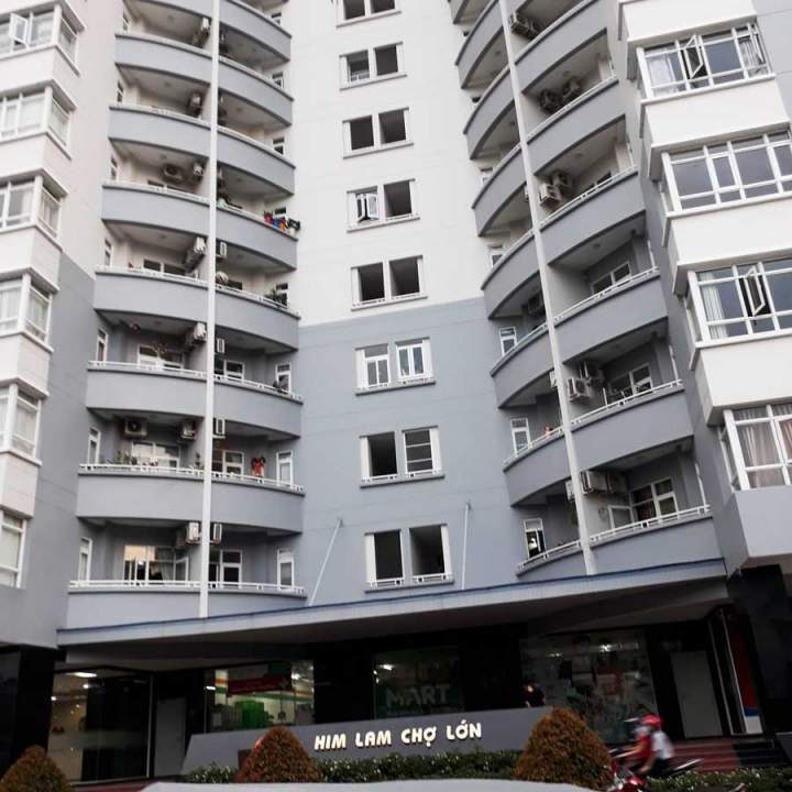 Him Lam Cholon Apartment