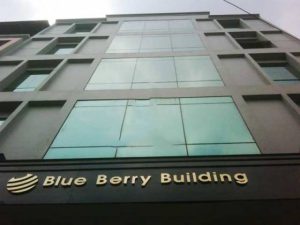 Blue Berry building