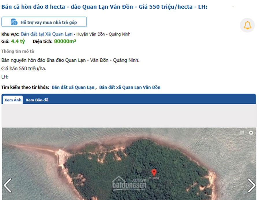On sale 8ha island and hundreds of hectares of forest land in Van Don on the internet