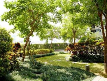 The system of green gardens hanging up to 2,000 sqm along the project