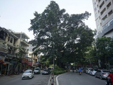 Vu Trong Phung Street will be 11m wide
