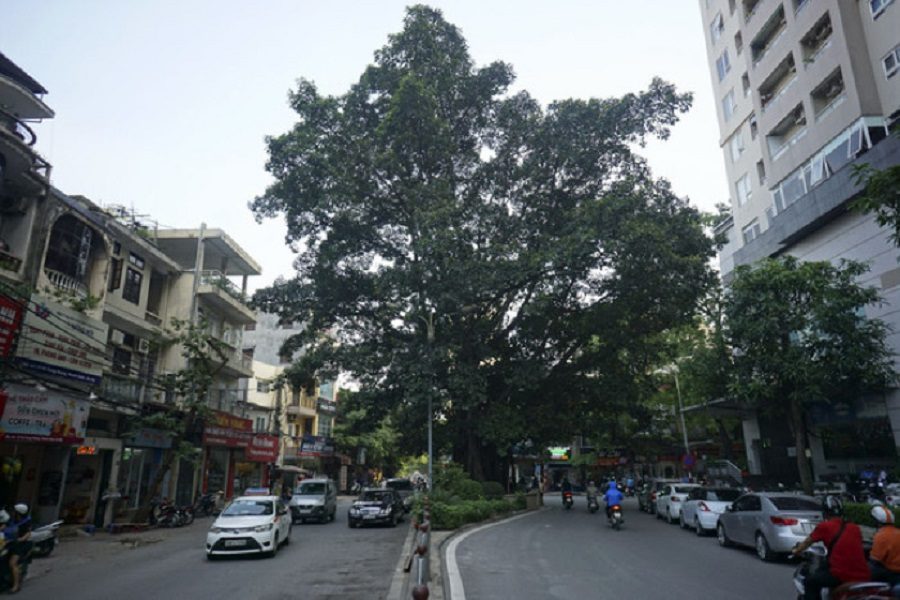 Vu Trong Phung Street will be 11m wide